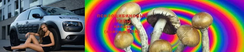 гидра сайт  Бабаево  Галлюциногенные грибы Magic Shrooms 